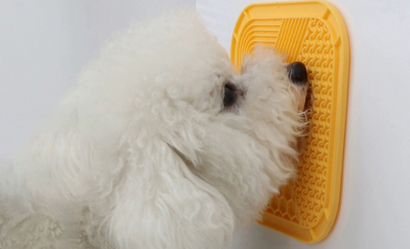 Dog is Licking Toy 